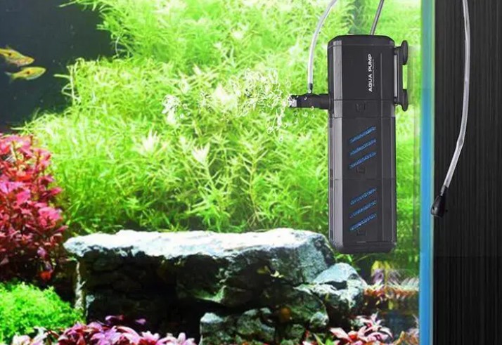 Mastering Fish Tank Maintenance: Where to Position Your Filter