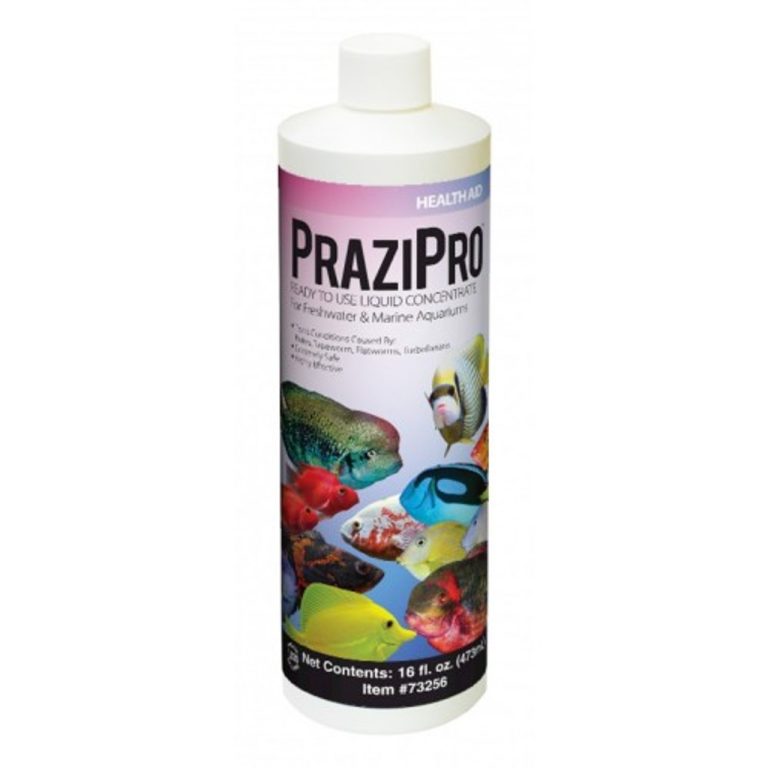 Master the Art of Properly Dosing Prazipro: A Complete Guide