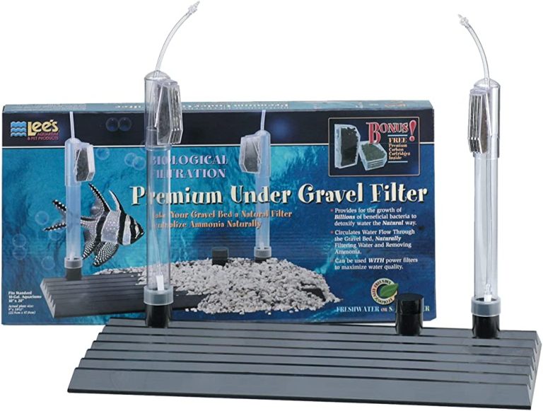 Uncovering the Science: How Undergravel Filters Work