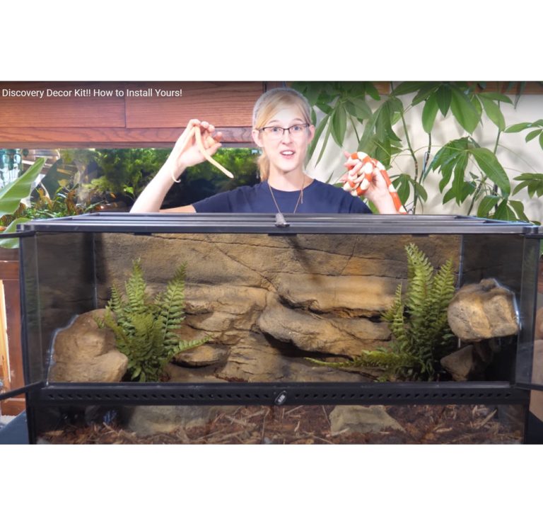 Discover the Actual Dimensions of a 40 Gallon Tank