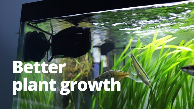 10 best locations to install Wavemaker in freshwater aquarium
