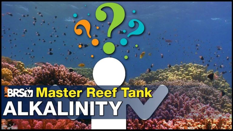 Mastering Reef Tank Alkalinity: Tips and Tricks for Maintenance