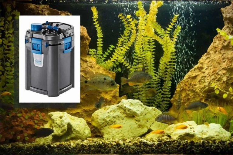 Discover the Cure for Fluval Fx4 Motor Pulsing with these Expert Tips