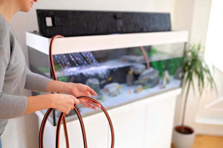 Effortlessly Fill Your Aquarium Without Disturbing Substrate