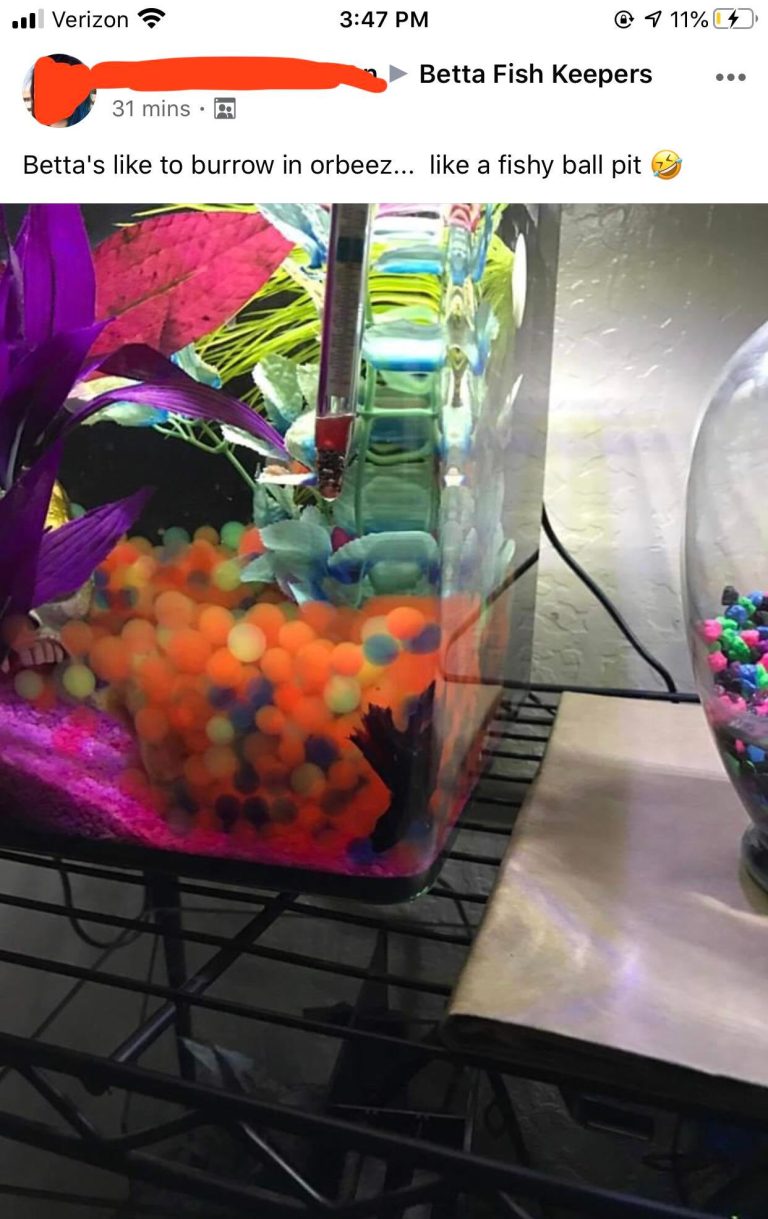 Orbeez in a Fish Tank: Do’s and Don’ts to Keep Your Fish Safe