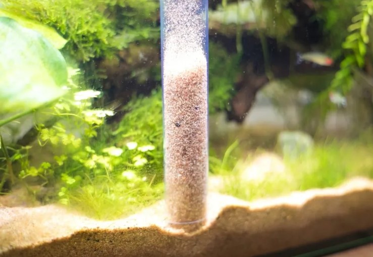 How to Effortlessly Clean Your Aquarium Sand: A Complete Guide