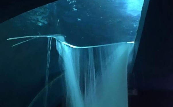 Why Aquarium Glass Breaks