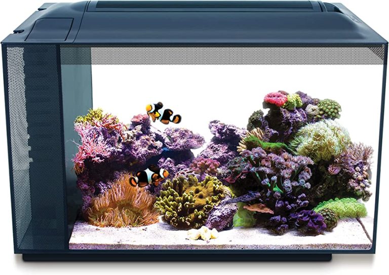 Transform Your Home with Fluval Evo 135 Freshwater Setup