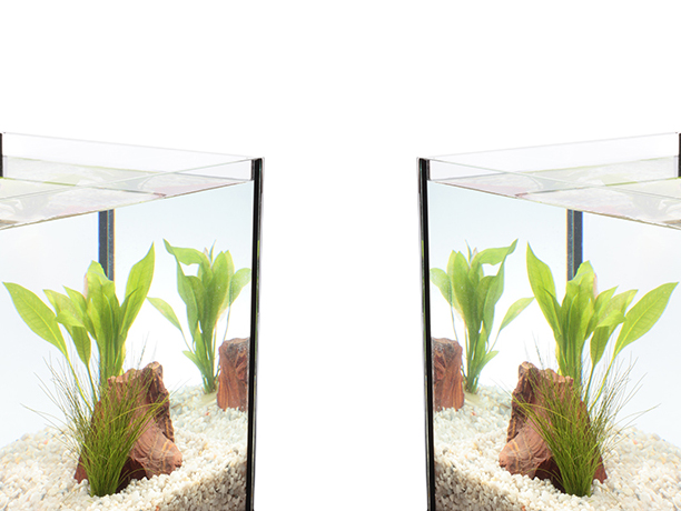 Troubleshooting Tips for Dropping Fish Tank Water Levels