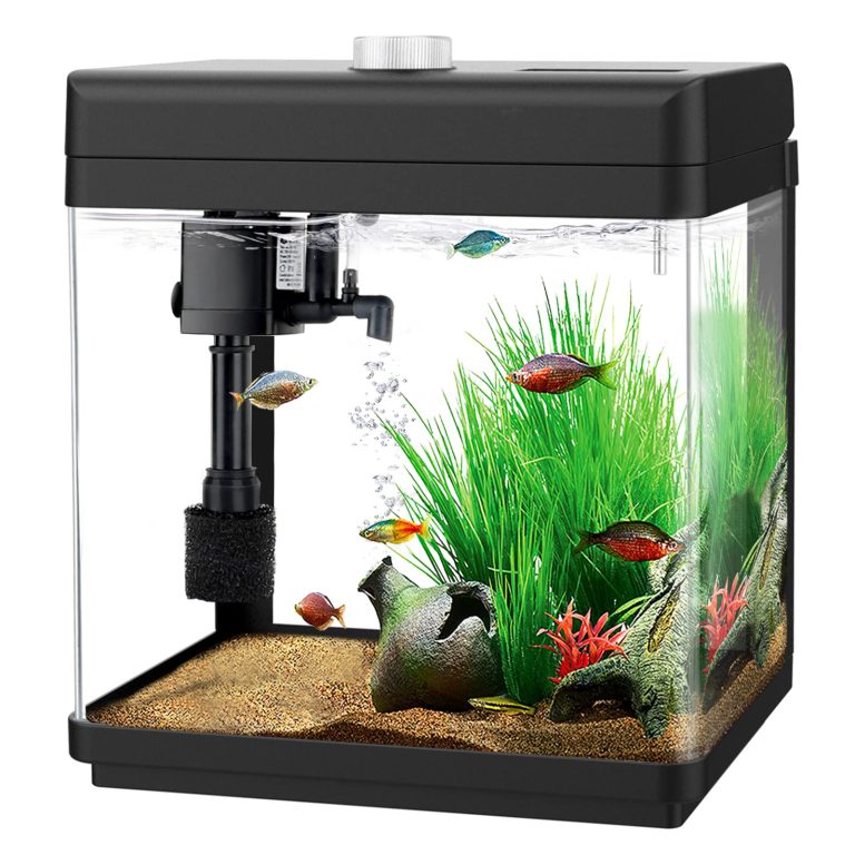 1 Gallon Fish Tank: The Perfect Compact Home for Your Pet Fish!