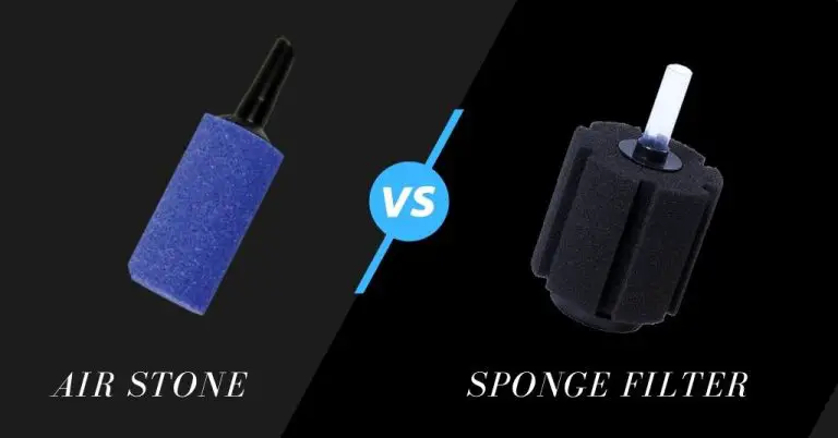 Air Stone Vs Sponge Filter
