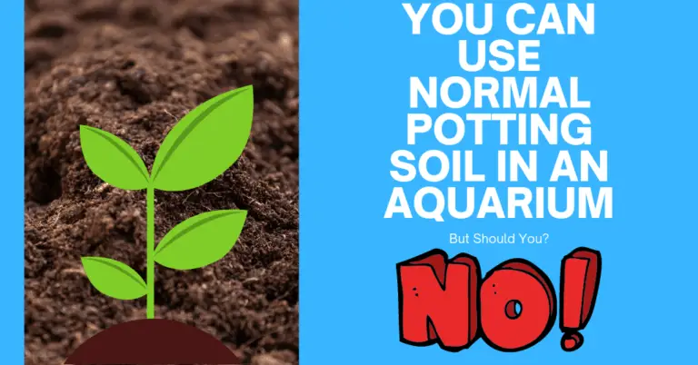 Can I Use Normal Soil In Aquarium