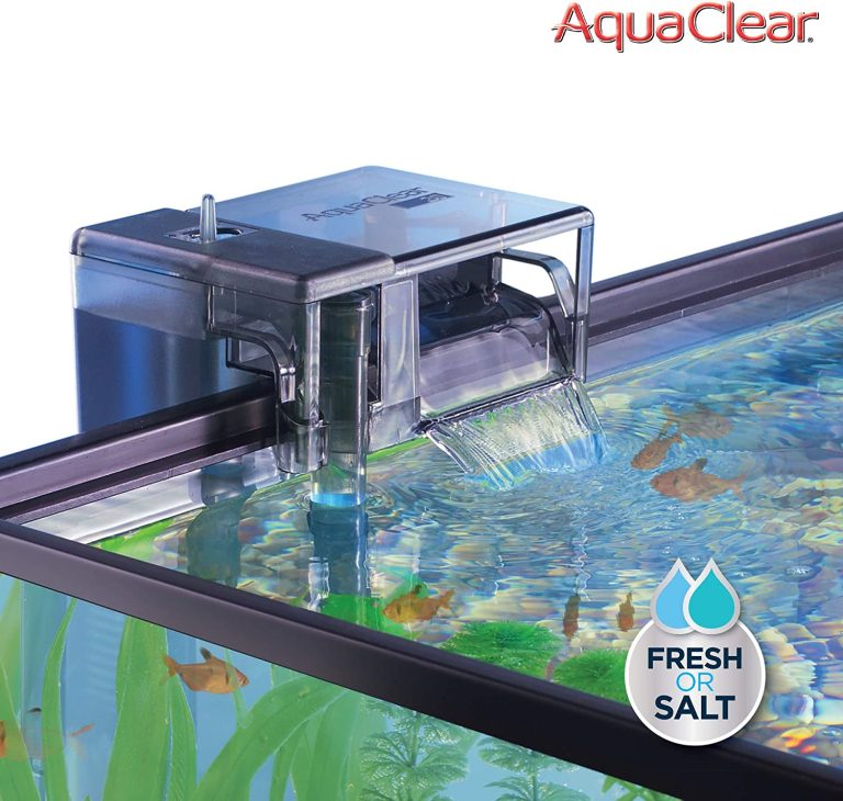 Can You Clean Fish Tank Filter Cartridge