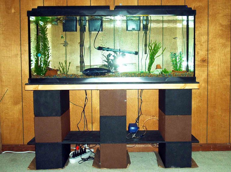Cinder Block Aquarium Stand: DIY Guide to Building a Sturdy and Stylish Stand