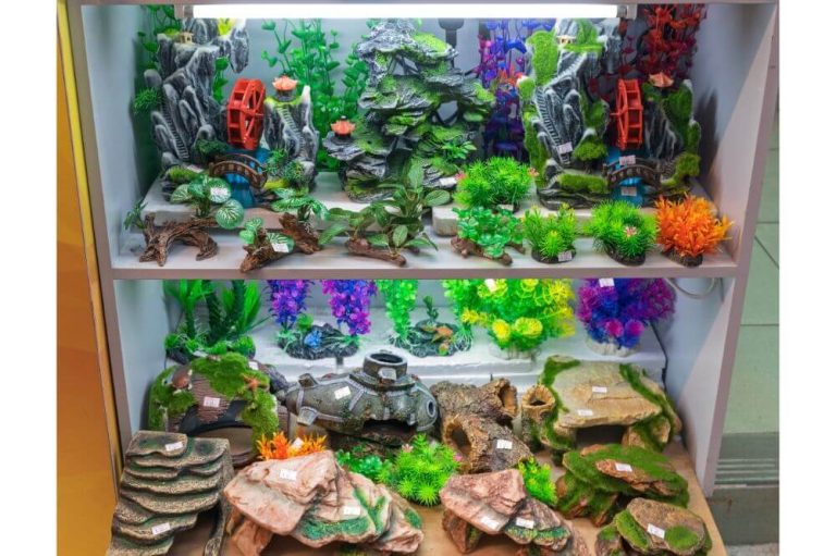 Cool Things To Put In A Fish Tank