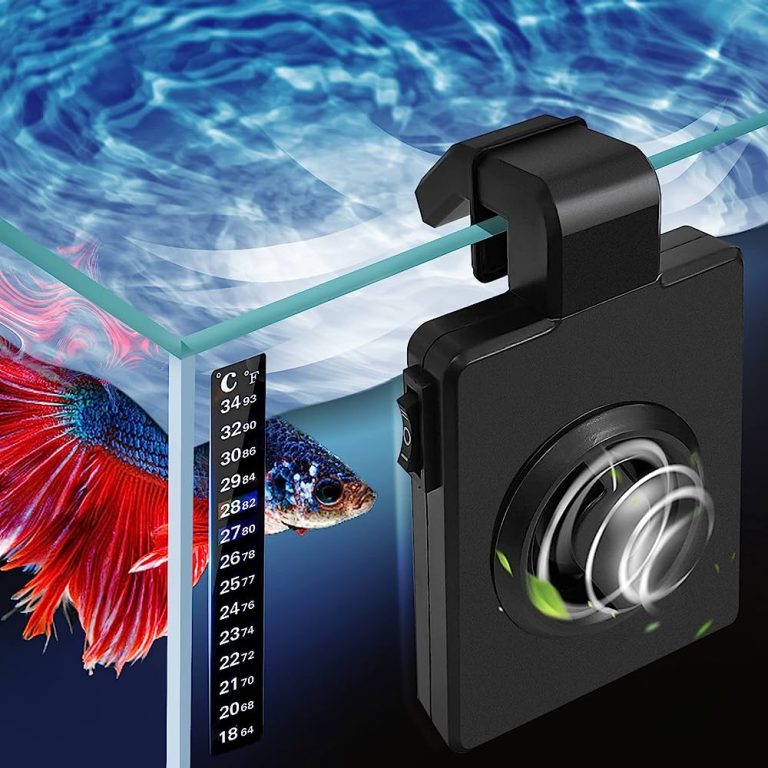 Do All Aquarium Chillers Have Small Fittings? Find Out the Truth Here!