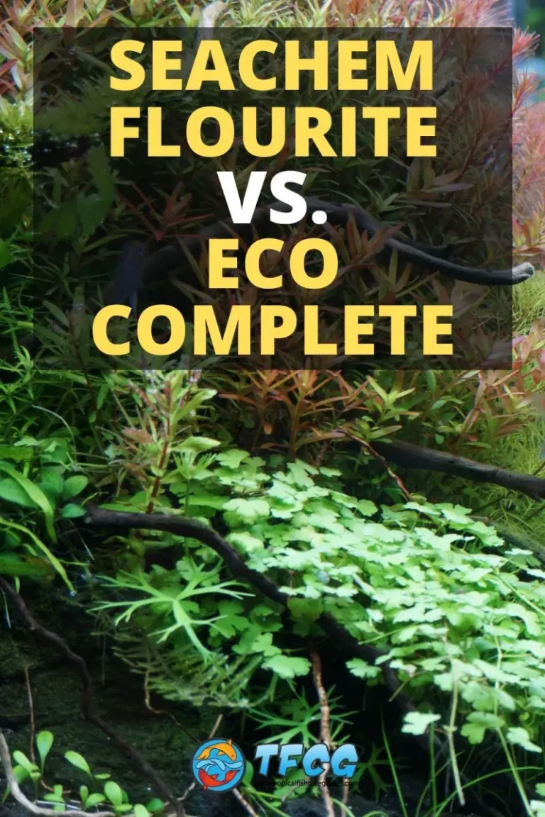 Eco Complete Vs Seachem Flourite