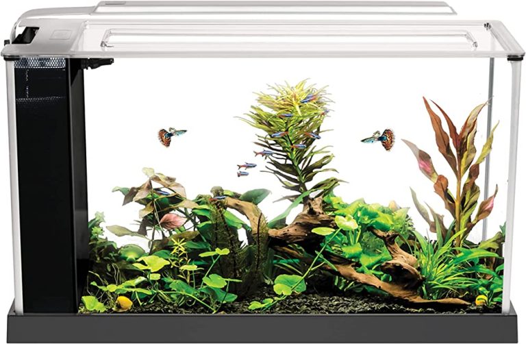 Unlock the Secrets: Small LED Lights Enhance Live Plants in Your Aquarium