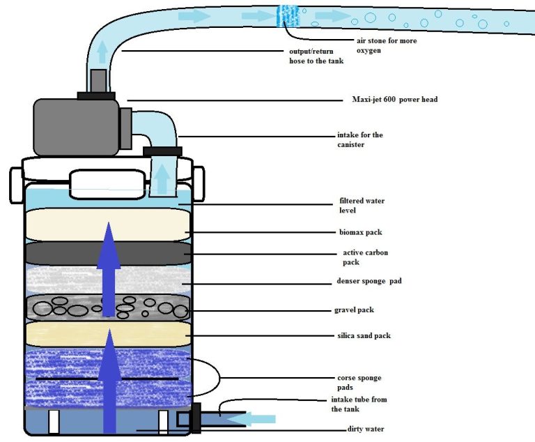 How Does A Fish Tank Filter Pump Work