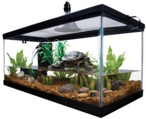 Best Turtle Tank Setup - Aquariuman