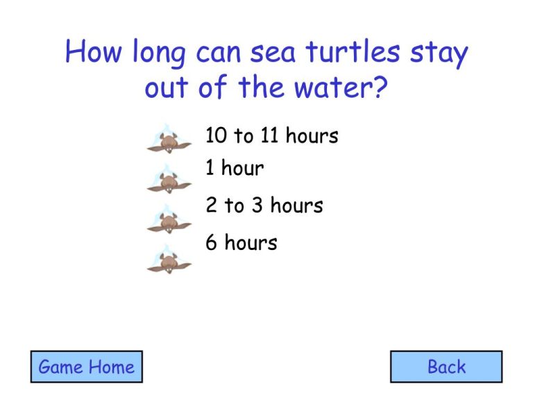 How Long Can Turtles Stay Out Of Water