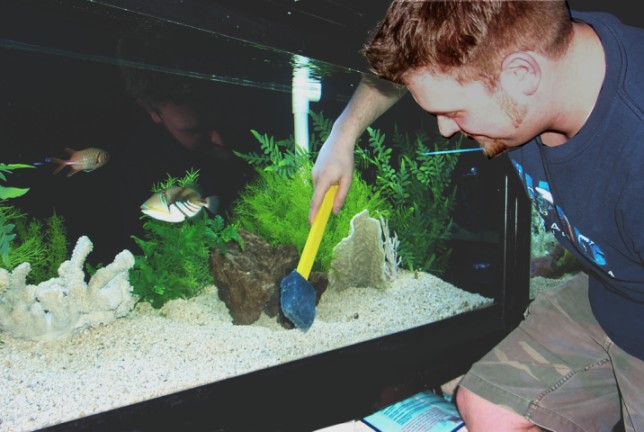 How To Clean A Fish Tank
