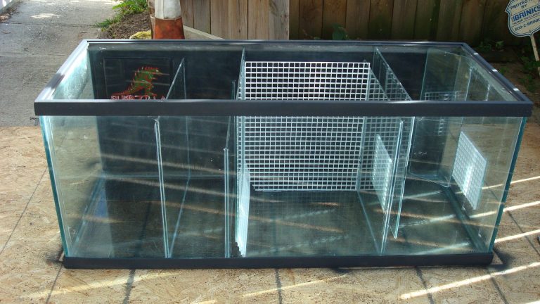 Sump For 75 Gallon Freshwater