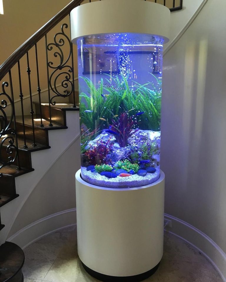 Tall Cylinder Fish Tank