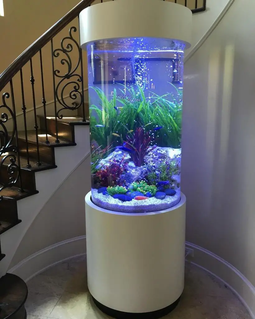 Tall Cylinder Fish Tank - Aquariuman