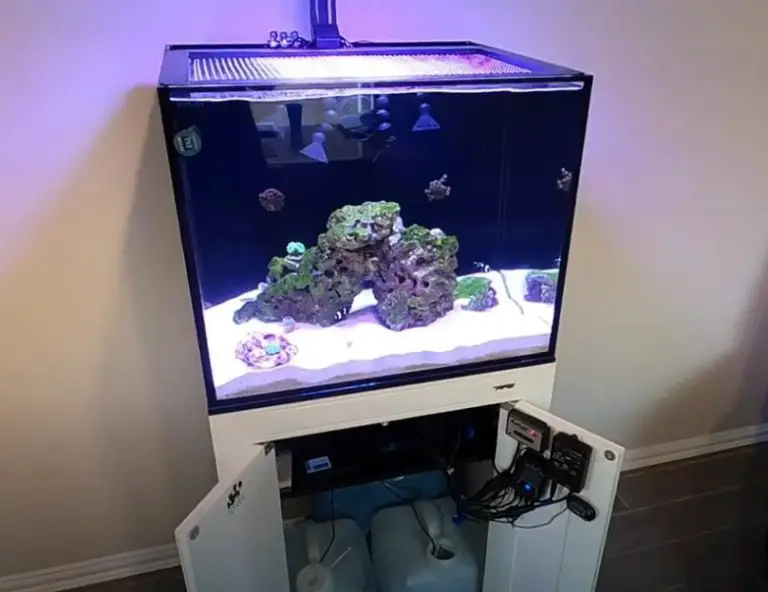 40 Gallon All In One Aquarium - Aquariuman