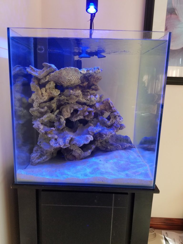 60 Gallon Cube Aquarium