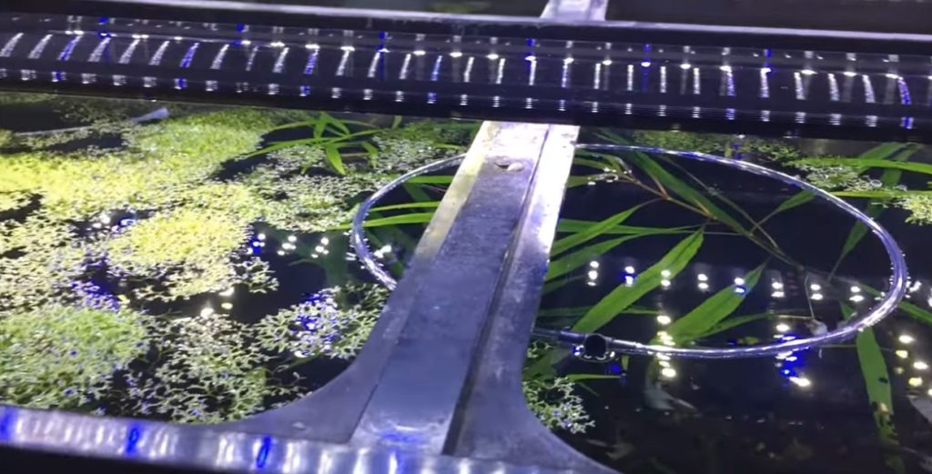 Aquarium Floating Plant Separator