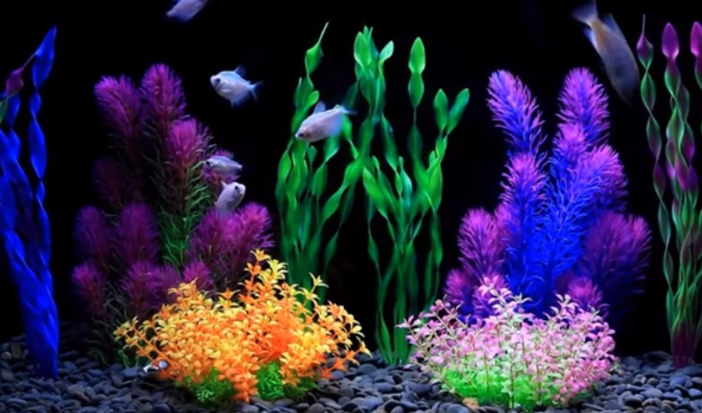 Aquarium With Fake Plants