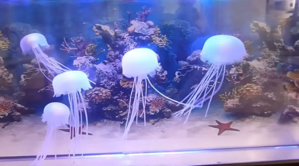 Artificial Jellyfish Tank