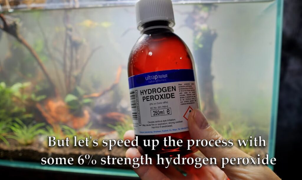 Hydrogen Peroxide Dip For Aquarium Plants