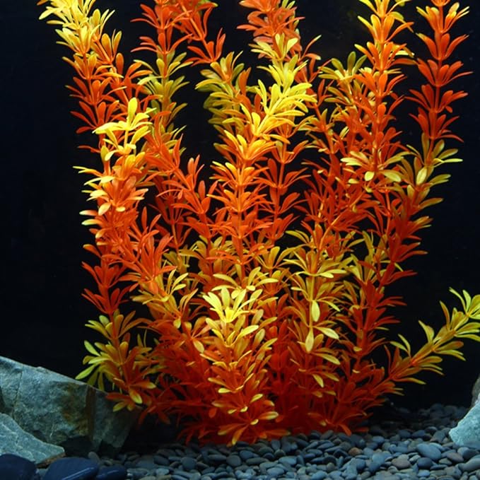 Aquarium Plants Yellowing