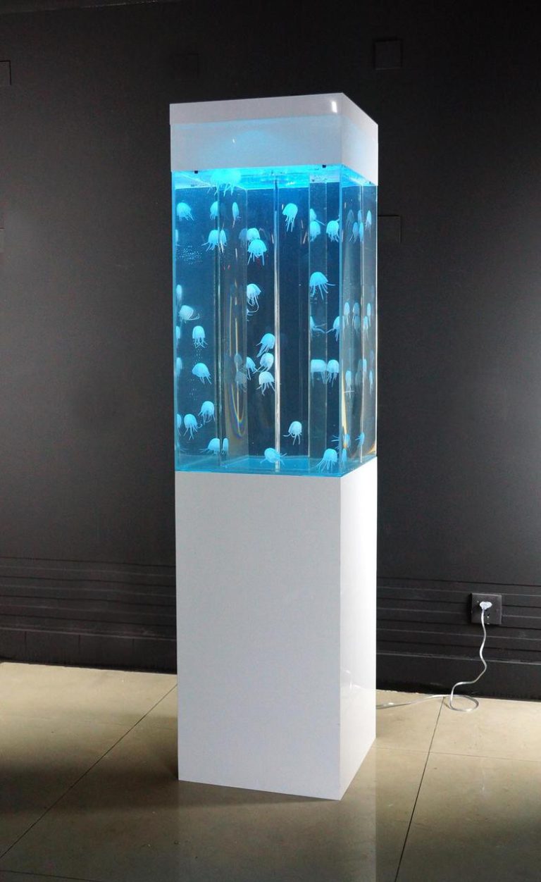 Artificial Jellyfish Tank