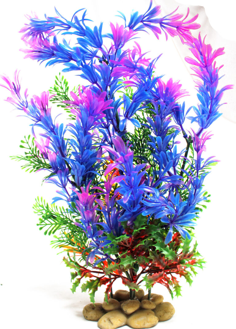 Blue Aquarium Plants