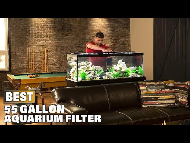 Best 55 Gallon Aquarium Filter: Top Picks for Crystal Clear Water