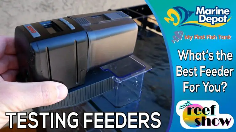 Best Aquarium Auto Feeder: Top Choices for Hassle-Free Feeding