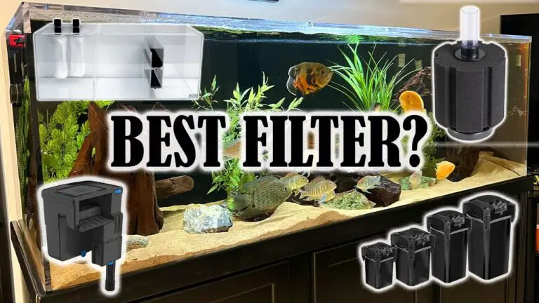 Best Aquarium Filter: Top Picks for Crystal Clear Water