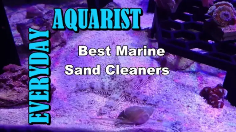 Best Aquarium Sand Cleaner: Top Picks for Crystal Clear Tanks