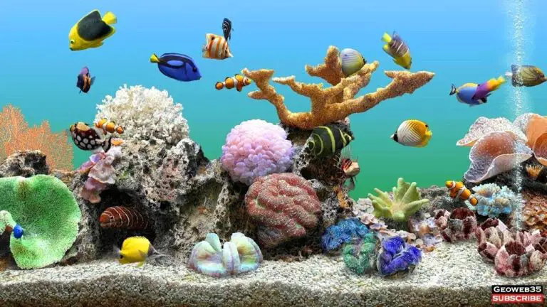 Best Aquarium Screensaver Windows 7: Transform Your Desktop