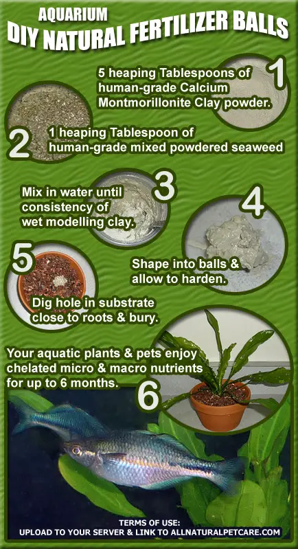 How to Fertilize Aquarium Plants Naturally